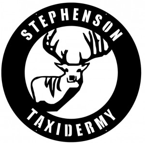 Stephenson Taxidermy